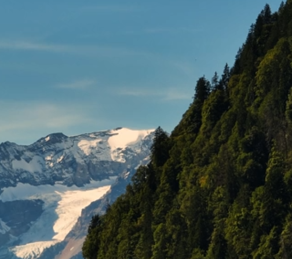Depuis des générations