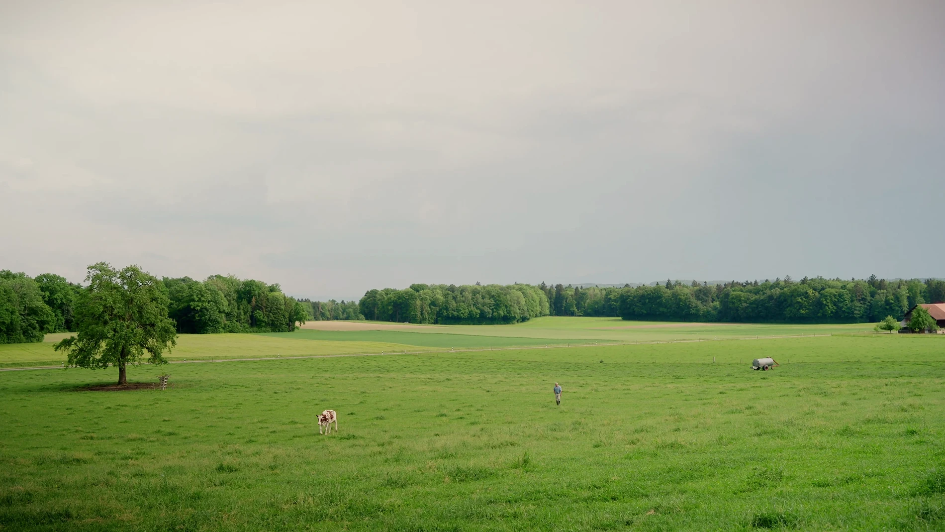 Lait suisse de Thurgovie